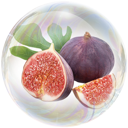 Higo (Ficus carica)