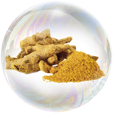 Raíz de cúrcuma (Curcuma longa)