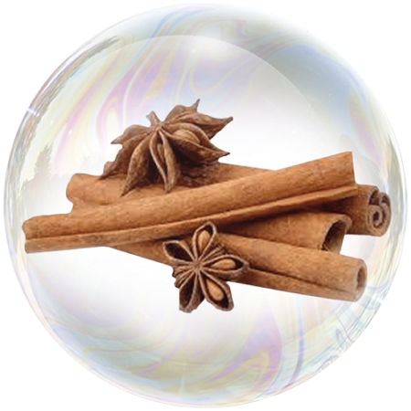 Corteza de canela (Cinnamomum verum)