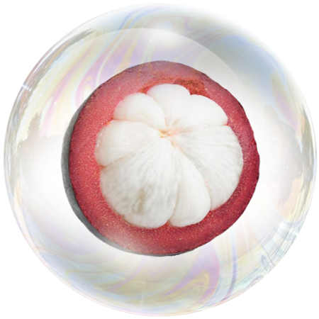 Fruto de mangostán (Garcinia mangostana)